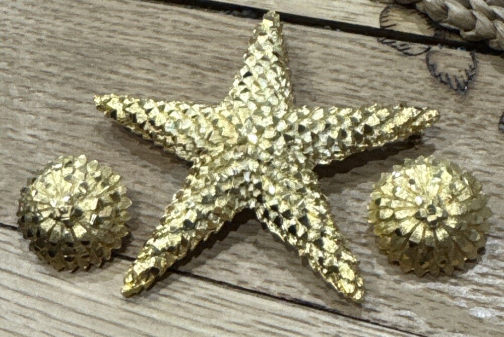 XL Brooch & Earring Set Star Fish Shape Dragon Scales 5 Pt Pendant Gold Star